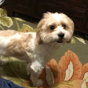 Meet your Posher, Carlos